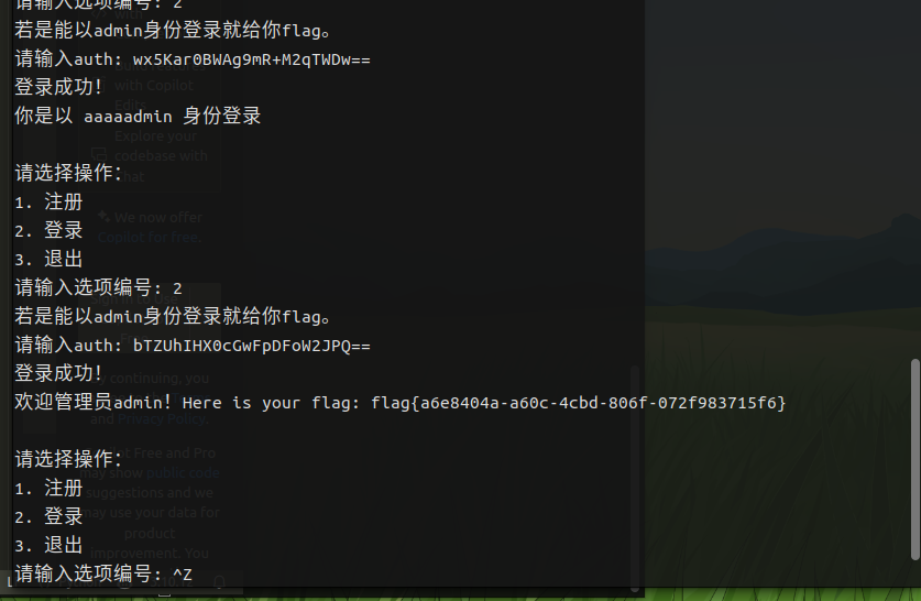 image-20250426135205174