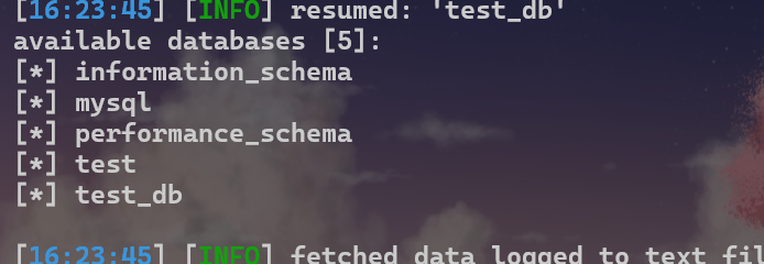 image-20250428162351000