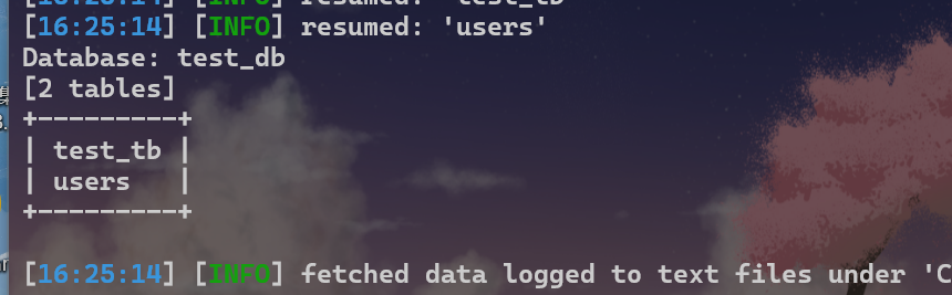 image-20250428162527506