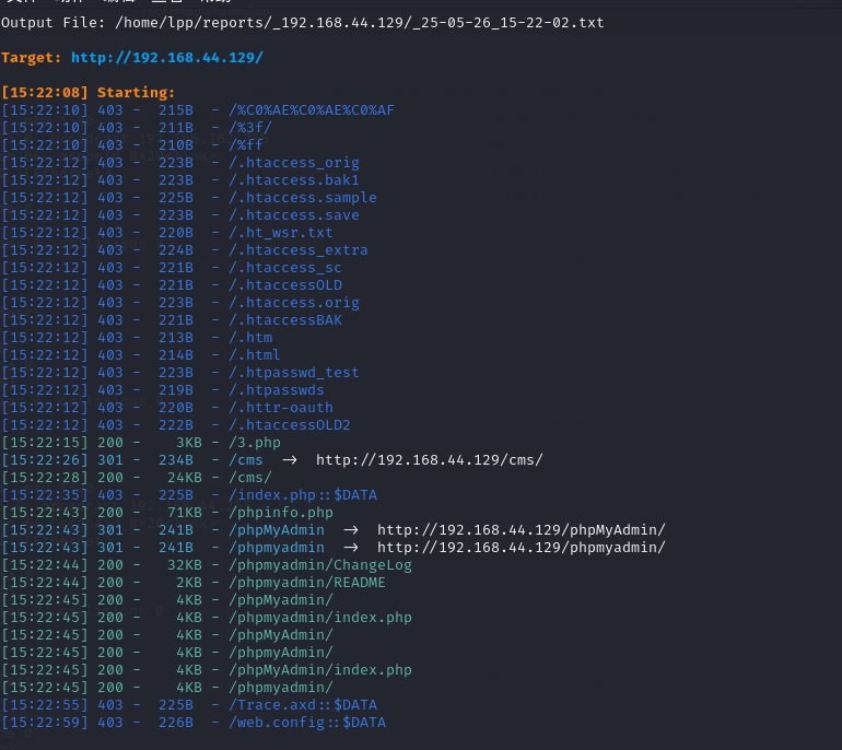 image-20250526152324255