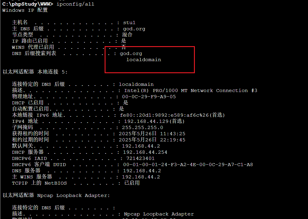 image-20250526220502938