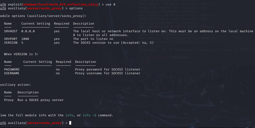 image-20250527110844582