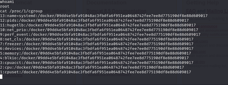 image-20250603002815700